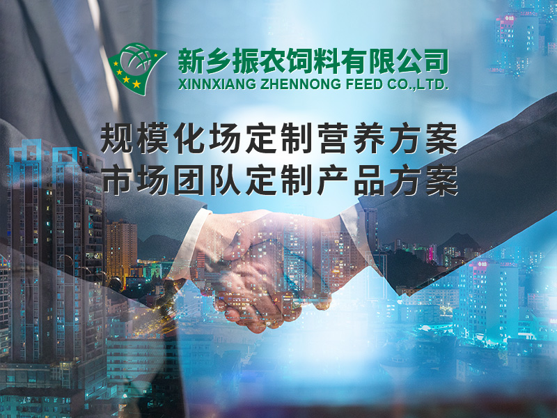 規(guī)?；喼?>
                          </div>
                          <div   id=